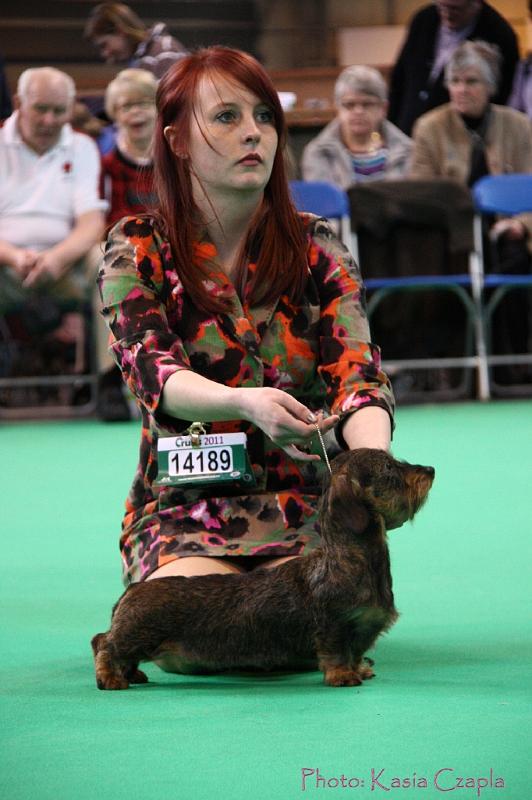 Crufts2011_2 1201.jpg